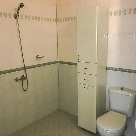 Madera - Spacious House With Swimming Pool, Sauna And Pool Table * Saparevo